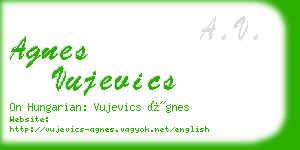 agnes vujevics business card